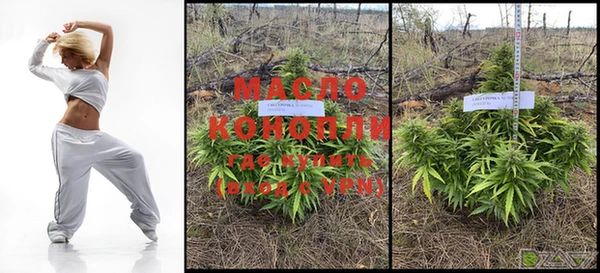 крисы Армянск